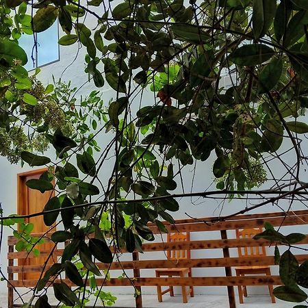 Апартаменты Casa Almendro Пуэрто-Вильямиль Экстерьер фото